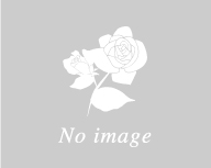 年末年始のお知らせ